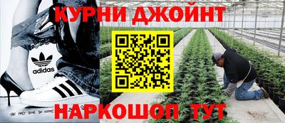 дживик Балахна