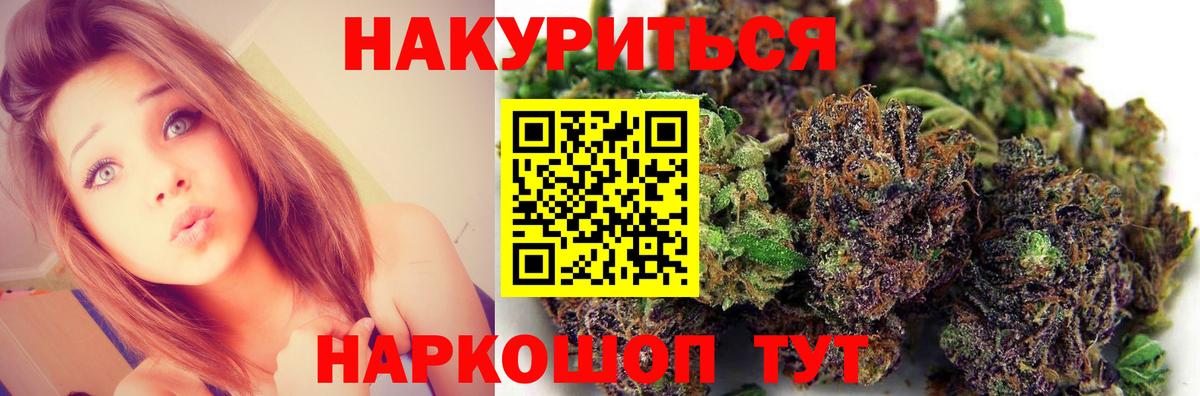 Благодарный  Каннабис Ganja  Шишки марихуана план  Вход с VPN  Бошки Шишки MAZAR 